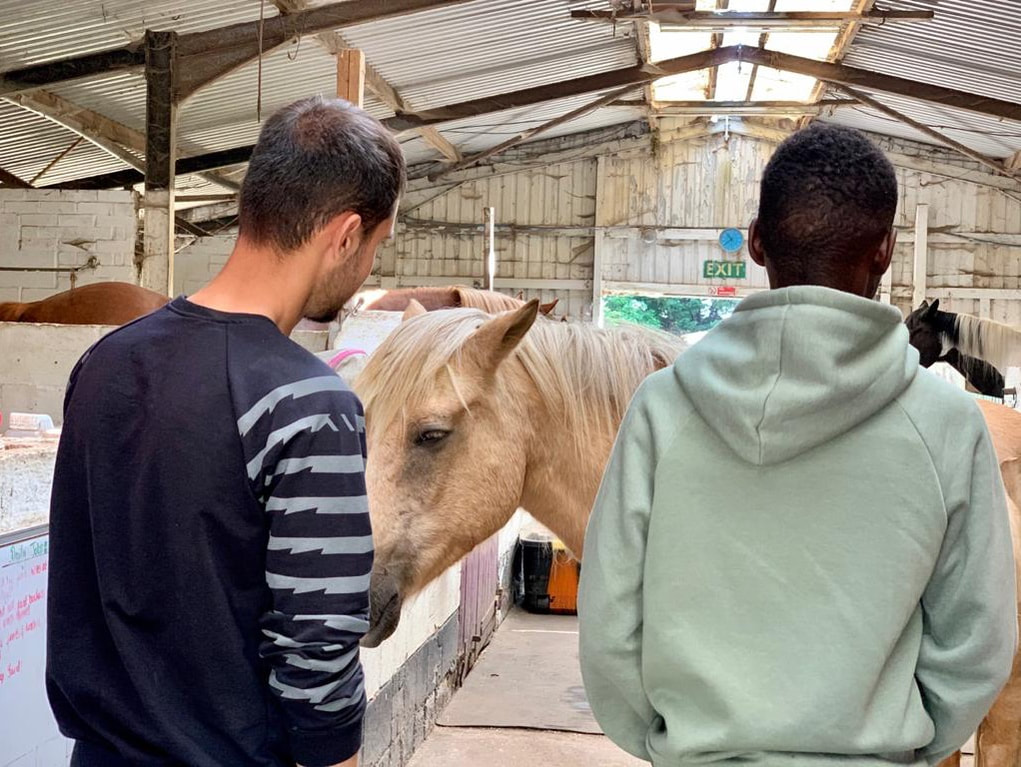 Two young people looking at a horse