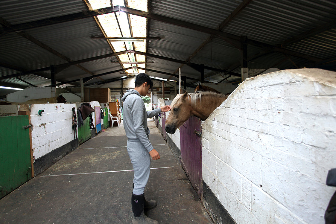 Picture of young person stroking a horse at The Heart Centre © Big Leaf Foundation