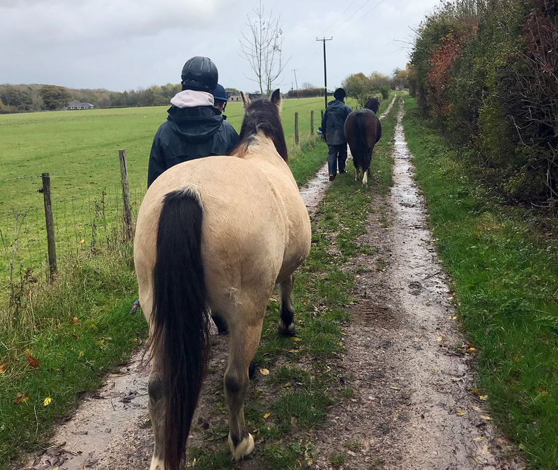 Young people leading horses along the bridleway at Jamie's Farm © Big Leaf Foundation