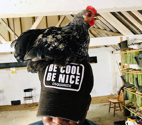 Picture of young person with a chicken sitting on his head at Jamie's Farm © Big Leaf Foundation